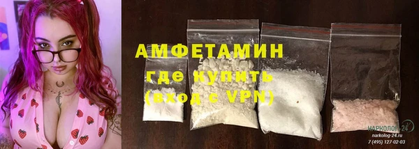 прущие грибы Балахна