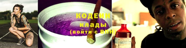прущие грибы Балахна