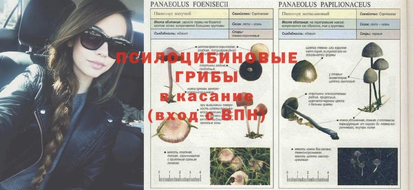а пвп мука Баксан